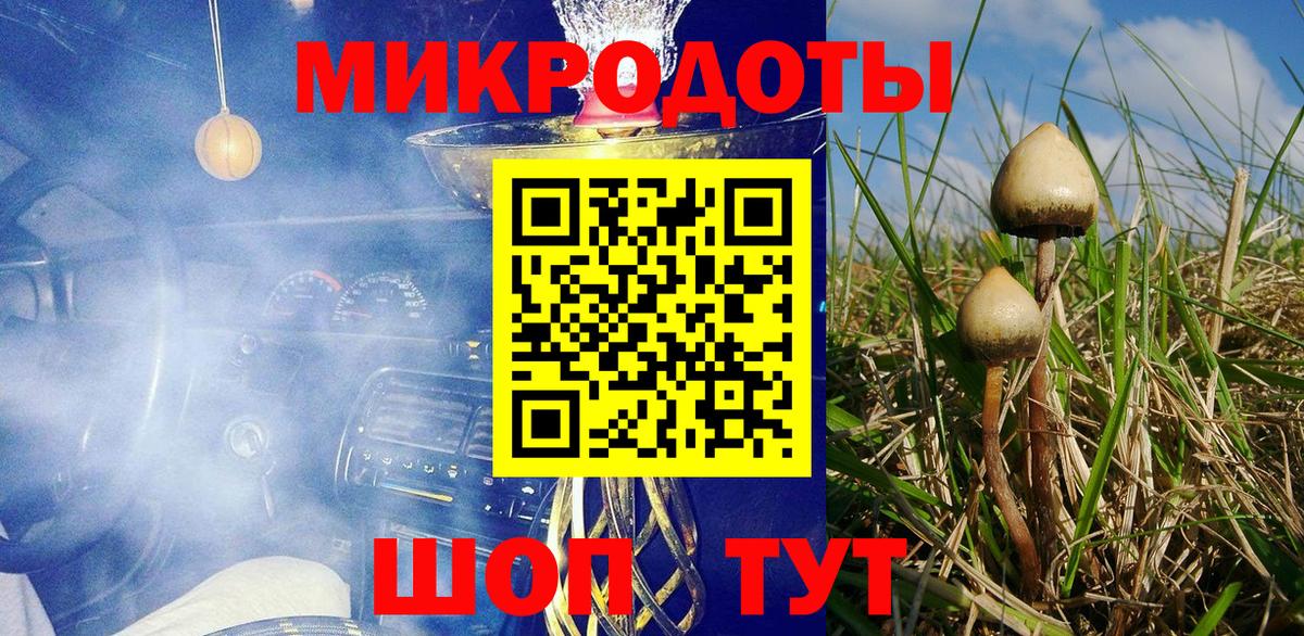 Псилоцибиновые грибы Psilocybine cubensis  Вход с VPN  Холмск 
